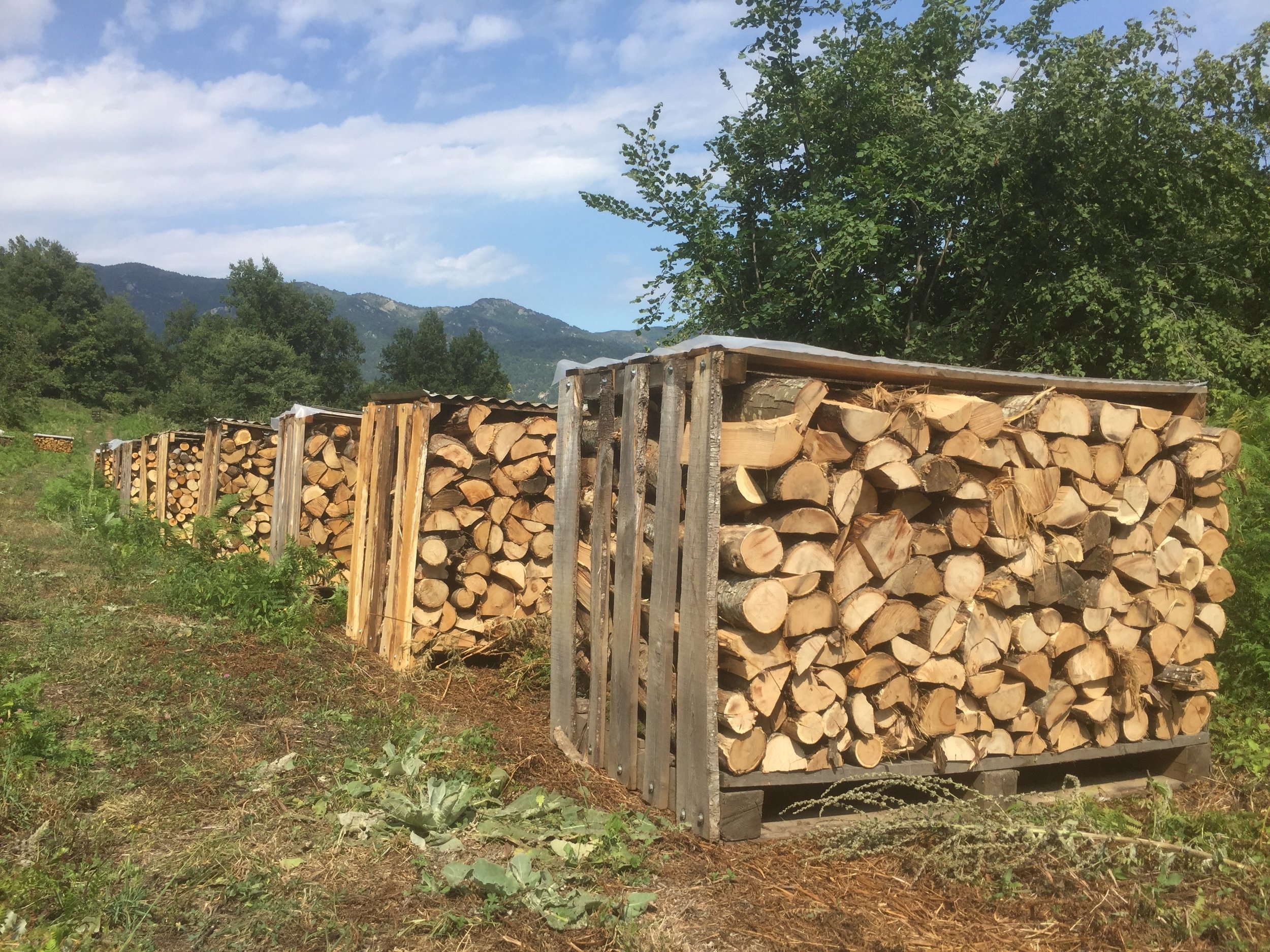 Timber Company timber dealers in kenya